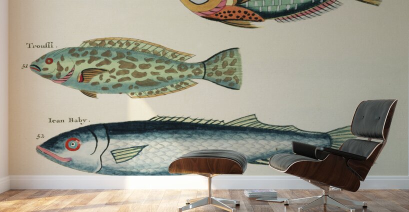 Colourful and surreal illustrations of fishes found in Moluccas Indonesia and the East Indies by Louis Renard 1678 -1746 from Histoire naturelle des plus rares curiositez de la mer des Indes 1754. Wall Murals
