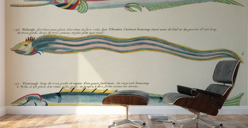 Illustrations of a siren and lobster found in the Moluccas Indonesia and the East Indies by Louis Renard 1678 -1746 from Histoire naturelle des plus rares curiositez de la mer des Indes 1754. Wall Murals