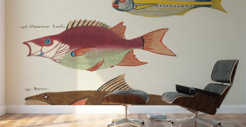 Colourful and surreal illustrations of fishes found in Moluccas Indonesia and the East Indies by Louis Renard 1678 -1746 from Histoire naturelle des plus rares curiositez de la mer des Indes 1754. Wall Murals
