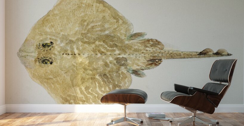 Antique fish sardinops neopilchardus pilchard South Pacific Fishes by Frank Edward Clarke 1849-1899.  Wall Murals