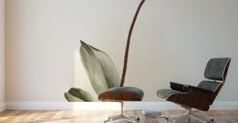 Cypripedium selligerum majus from Reichenbachia Orchids 1888-1894 illustrated by Frederick Sander 1847-1920.  Wall Murals