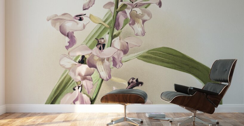 Lissochilus giganteus from Reichenbachia Orchids 1888-1894 illustrated by Frederick Sander 1847-1920.  Wall Murals