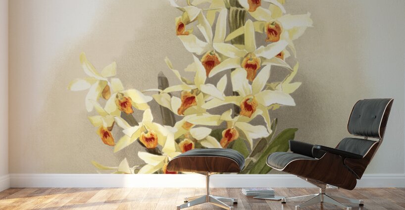 Dendrobium aureum from Reichenbachia Orchids 1888-1894 illustrated by Frederick Sander 1847-1920.  Wall Murals