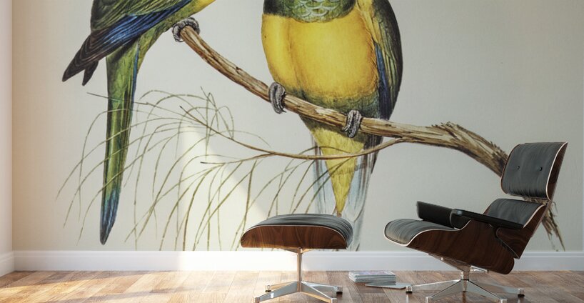 Bauers Parrakeet Platycercus Bauerii illustrated by Elizabeth Gould 1804–1841 for John Gould’s 1804-1881 Birds of Australia  Wall Murals