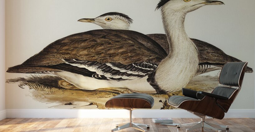 Australian Bustard Otis Australasianus illustrated by Elizabeth Gould 1804–1841 for John Gould’s 1804-1881 Birds of Australia  Wall Murals