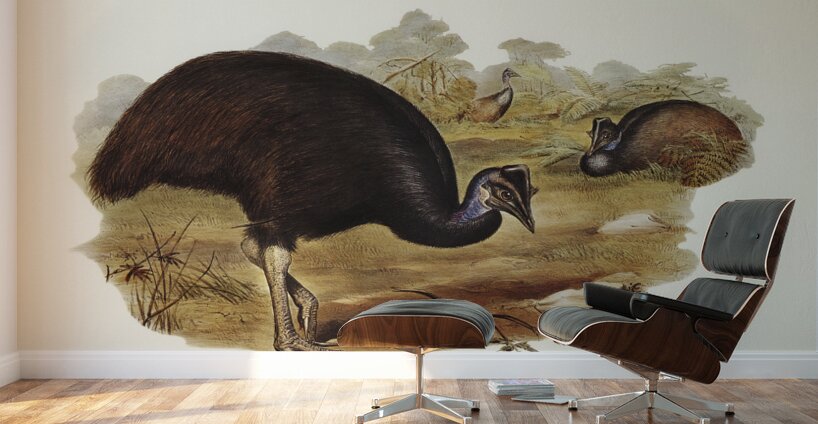 Chestnut-breasted Cuckoo Cacomantis castaneiventris illustrated by Elizabeth Gould 1804–1841 for John Gould’s 1804-1881 Birds of Australia  Wall Murals