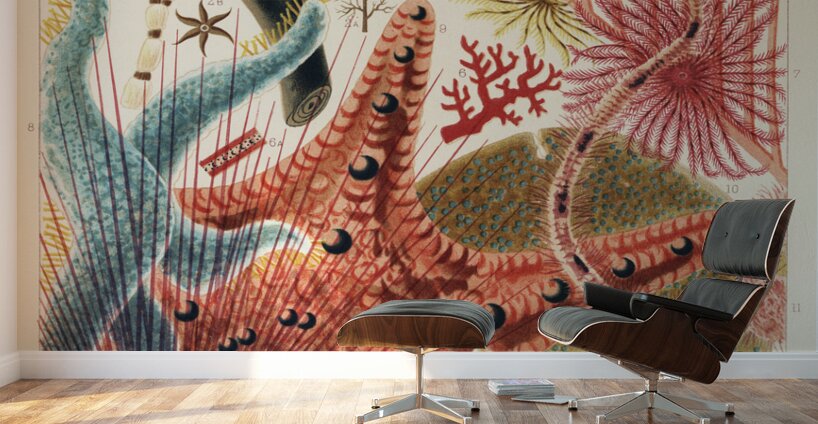 Great Barrier Reef Echinoderms from The Great Barrier Reef of Australia 1893 by William Saville-Kent 1845-1908. Fig 1: Isis HippurisFig 2: Queensland black coral Antipathes abiesFig 3: Ctenocella PectinataFig 4: Gorgonia AustraliensisFig 5: Melitodes Wall Murals