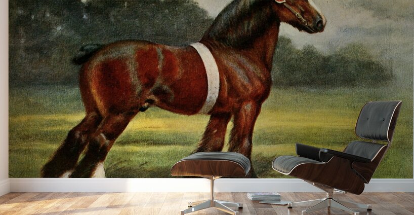 Shire Stallion Halstead Royal Duke John Hanson Walker Jr. English 1844-1933 Wall Murals