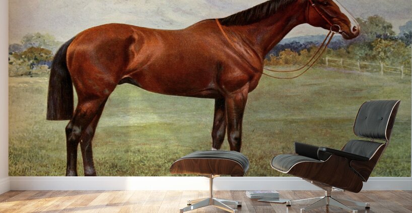 Spearmint Wall Murals