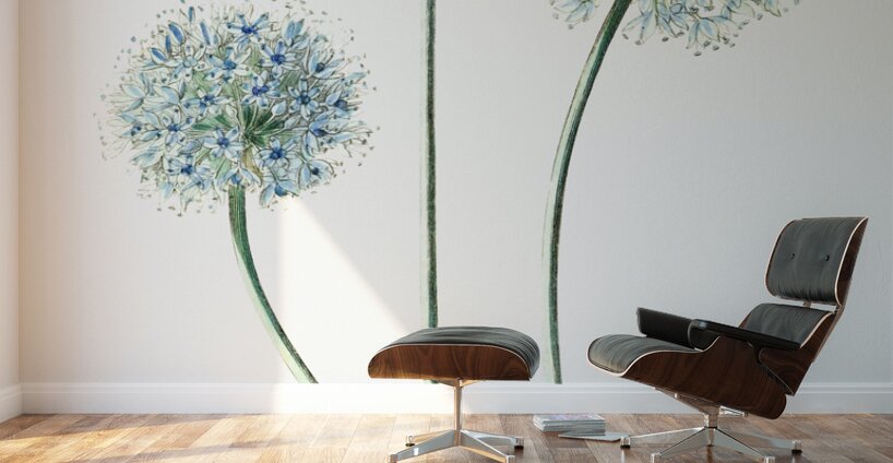 Blue leek from Edwards Botanical Register 1829-1847  by Sydenham Edwards John Lindley and James Ridgway. Wall Murals