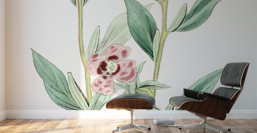 Long Branched Enothera from Edwards Botanical Register 1829-1847  by Sydenham Edwards John Lindley and James Ridgway. Wall Murals