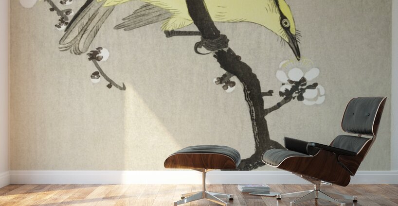 Chinese oriole on plum blossom branch 1900 - 1910 by Ohara Koson 1877-1945. Wall Murals