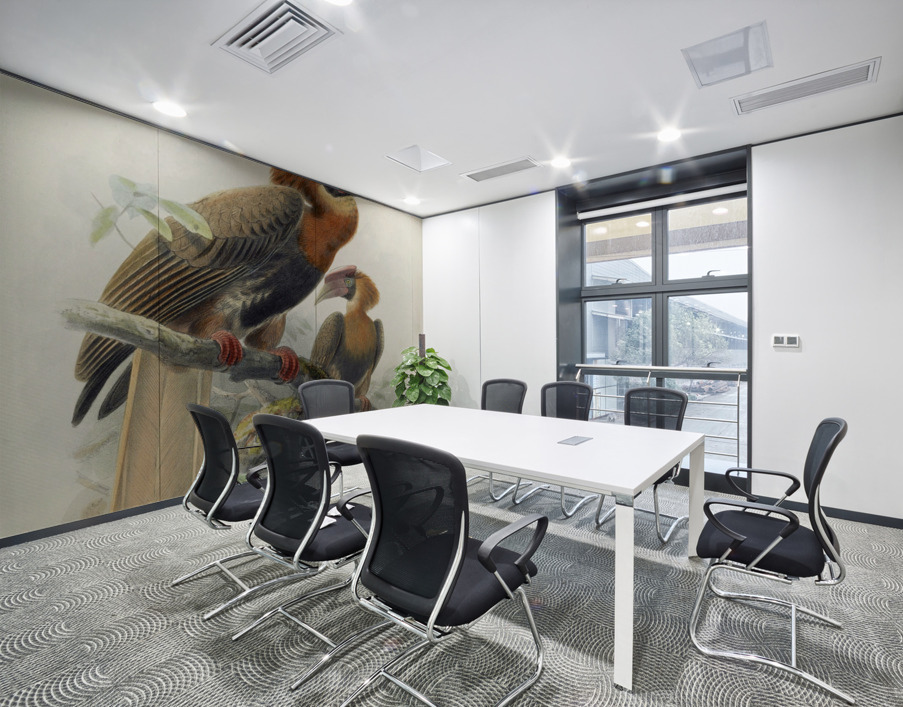 Hydrocorax mindanensis 1882 Wall Printing