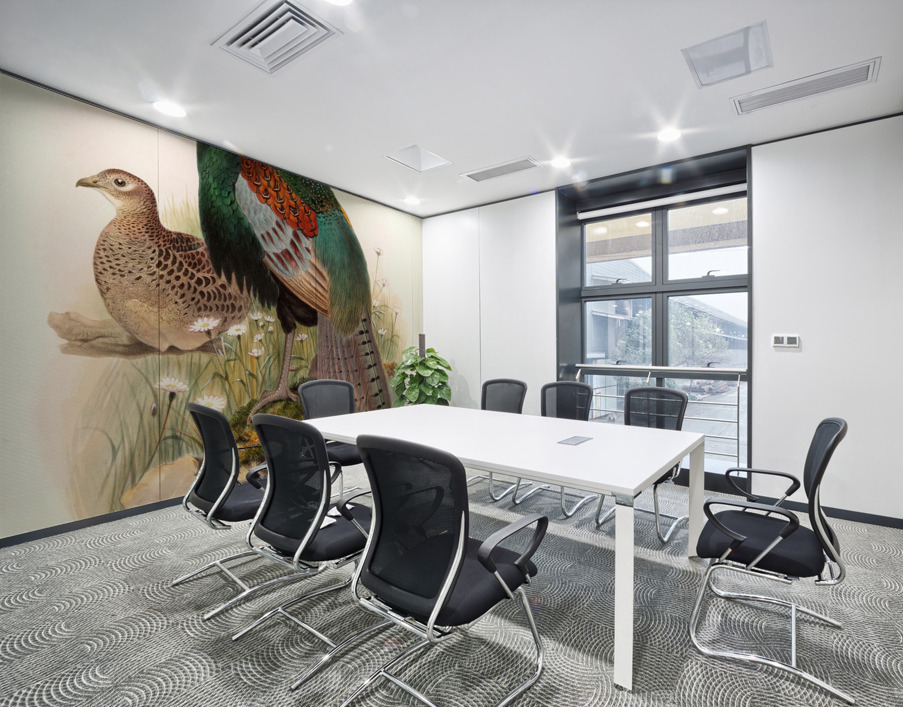 Phasianus versicolor. 1872 Wall Printing