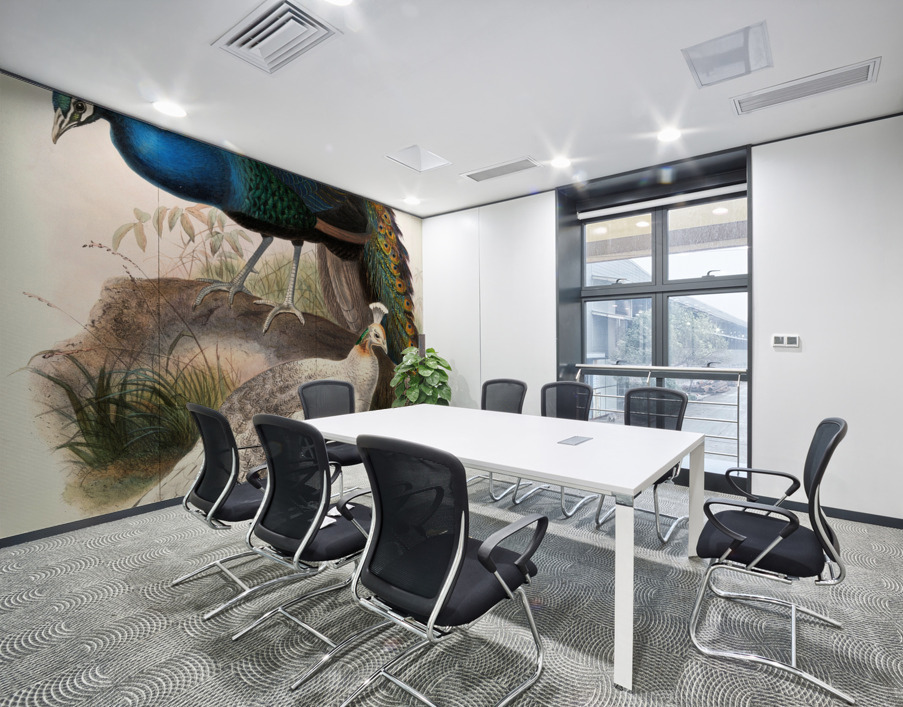 Pavo nigripennis. 1872 Wall Printing