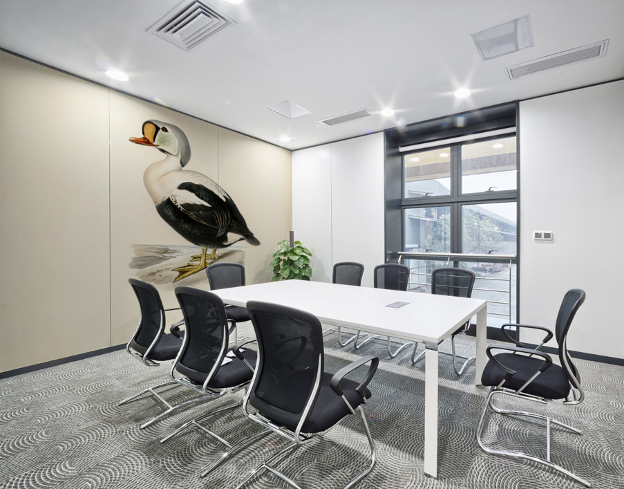 Somateria spectabilis Wall Printing