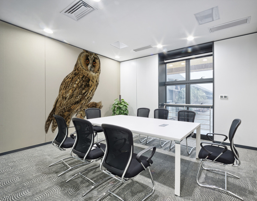 Asio otus owl Wall Printing