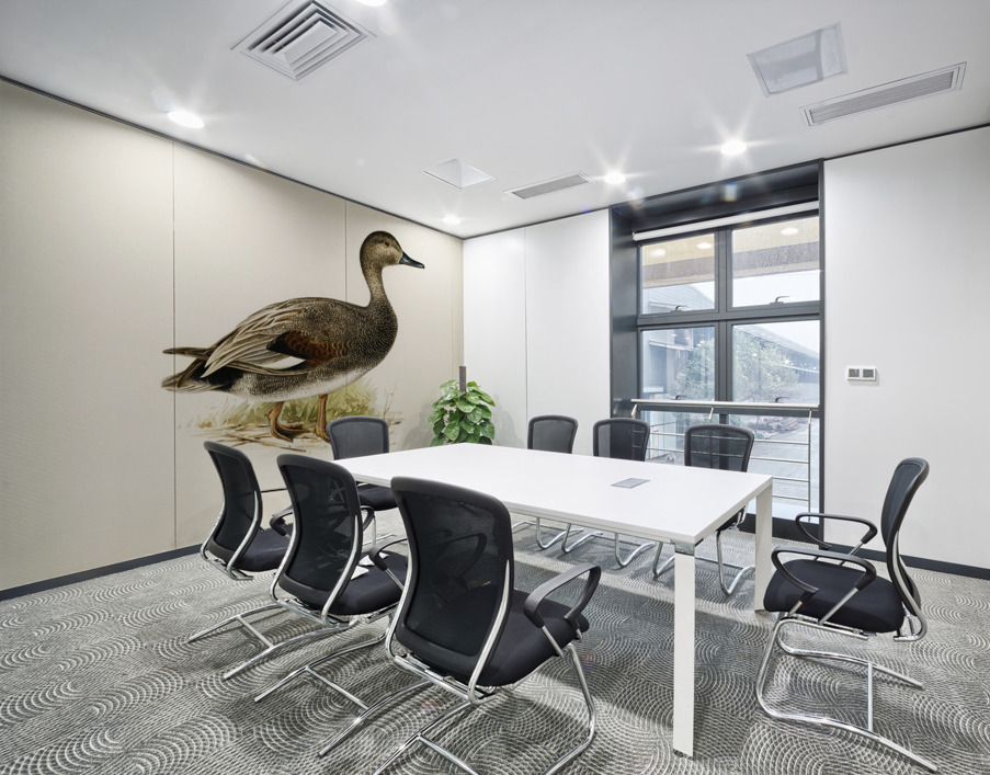 Gadwall Anas Chauelasmus Strepera Wall Printing