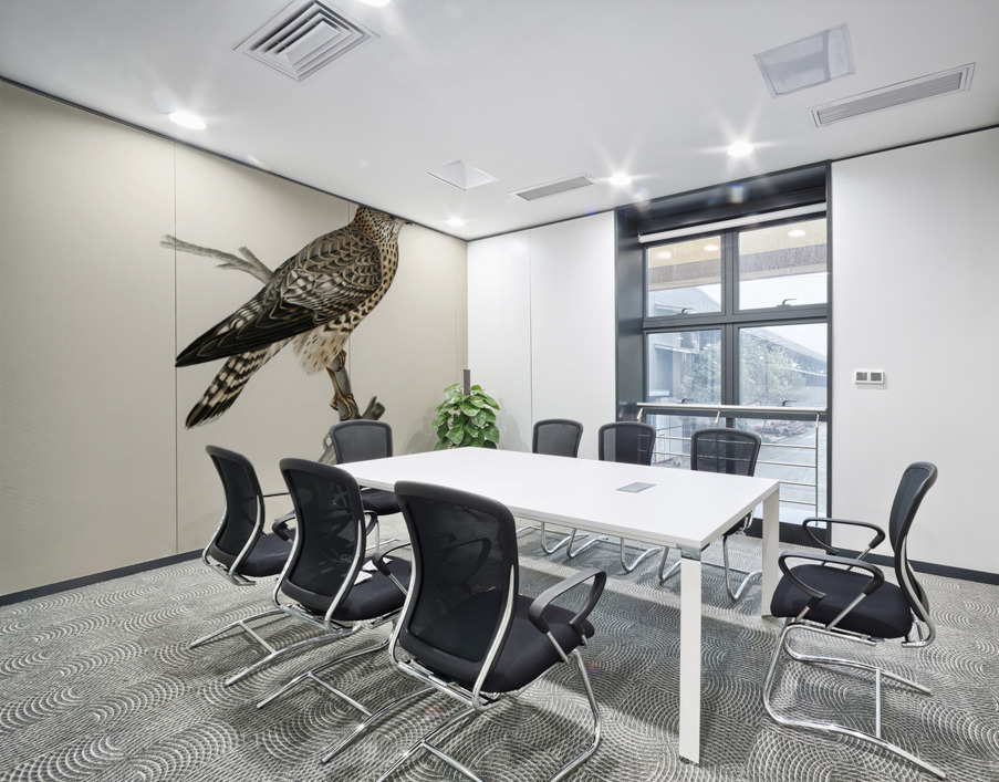 Merlin female Falco aesalon Wall Printing