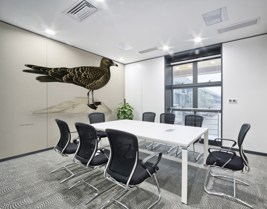 Parasitic jaeger Stercorarius parasiticus Wall Printing