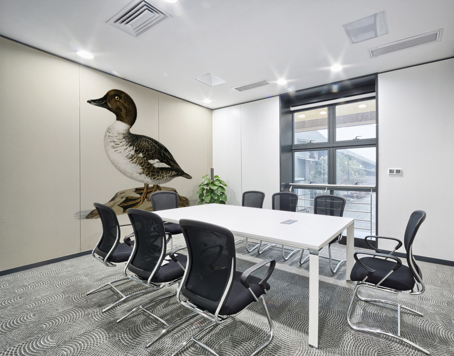 Goldeneye male Bucephala clangula Wall Printing