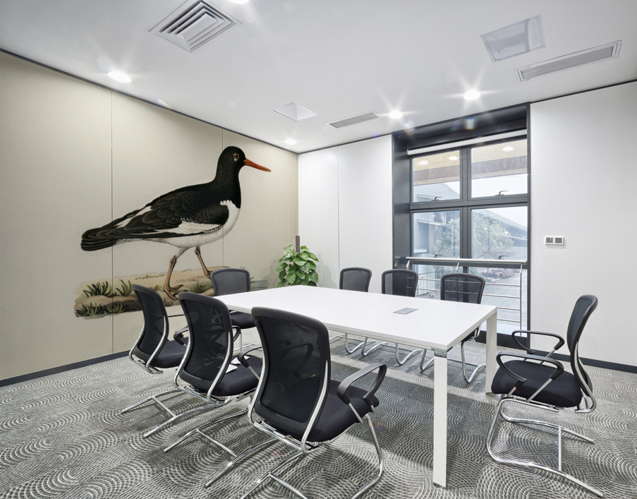 Eurasian oystercatcher ♀ Haematopus ostralegus Wall Printing