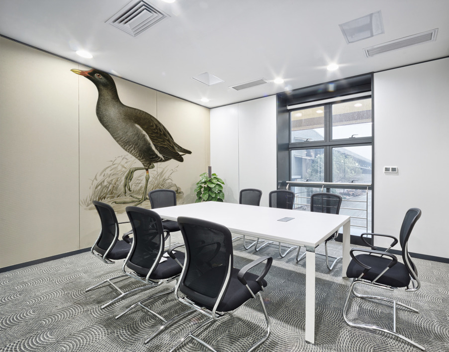 Common moorhen gallinula chloropus Wall Printing