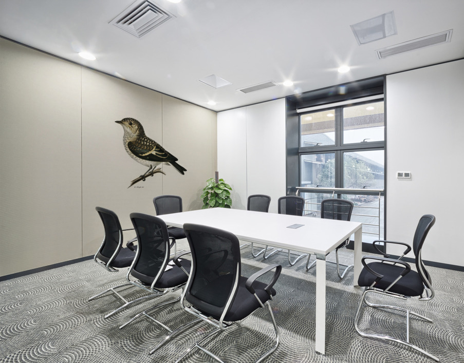 Pied Flycatcher Muscicapa atricapilla Wall Printing