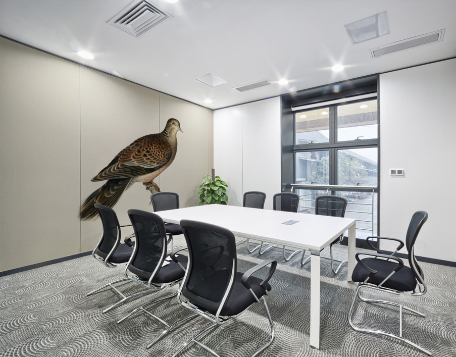 Oriental turtle dove ♀ Streptopelia orientalis Wall Printing