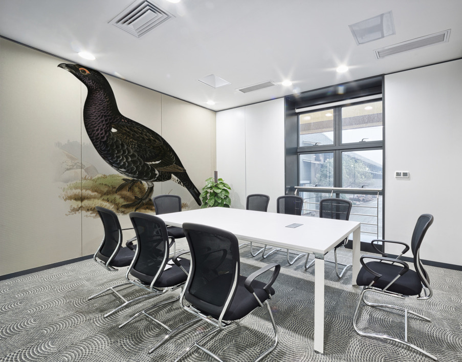 Hybrid between black grouse and western capercaillie Lyrurus tetrix ♂ x Tetrao urogallus ♀ Wall Printing