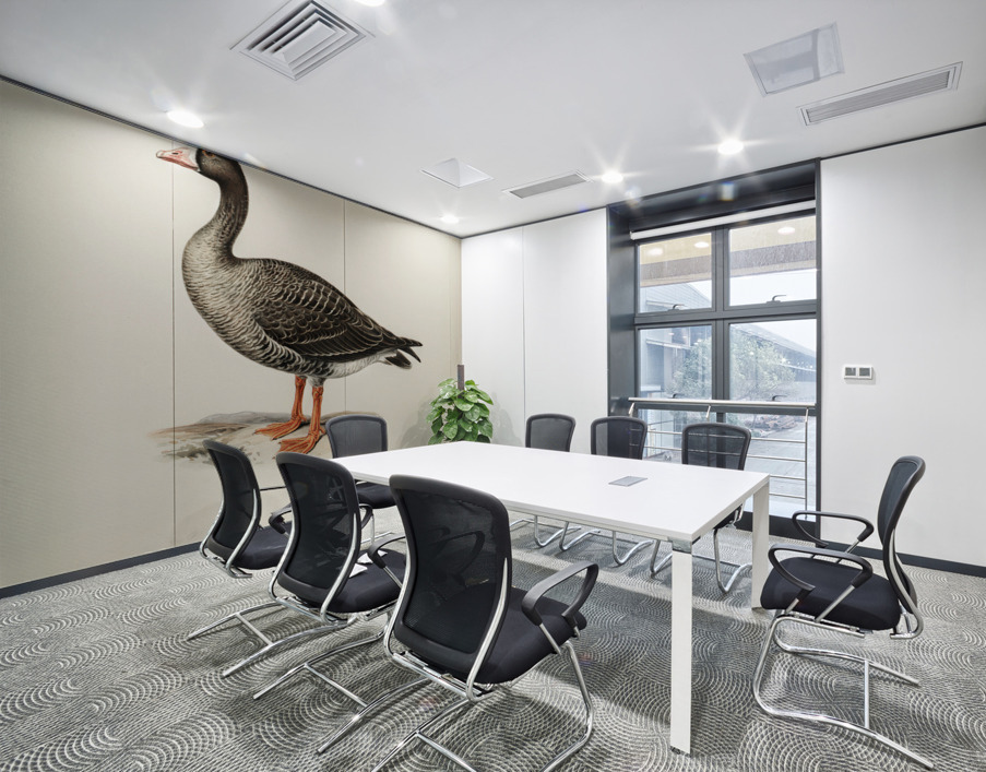 Anser erythropus ♂ Wall Printing