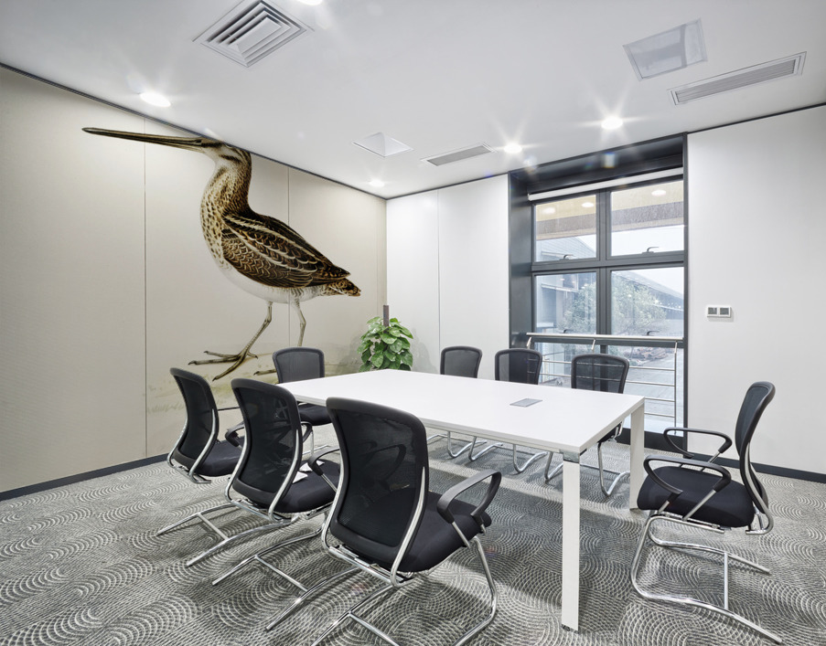 Common snipe capella gallinago Wall Printing