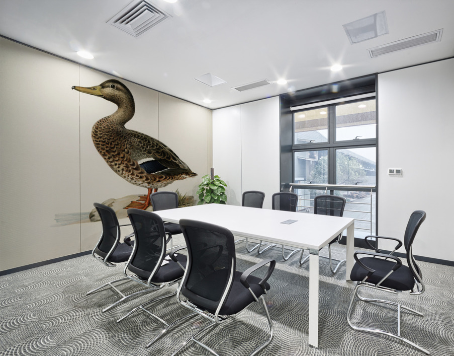 Boreal Owl Tengmalm&39s Owl Aegolius funereus Wall Printing