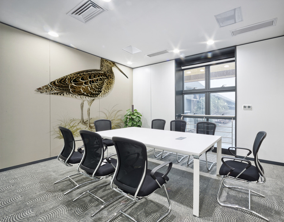 Great snipe Capella media Wall Printing