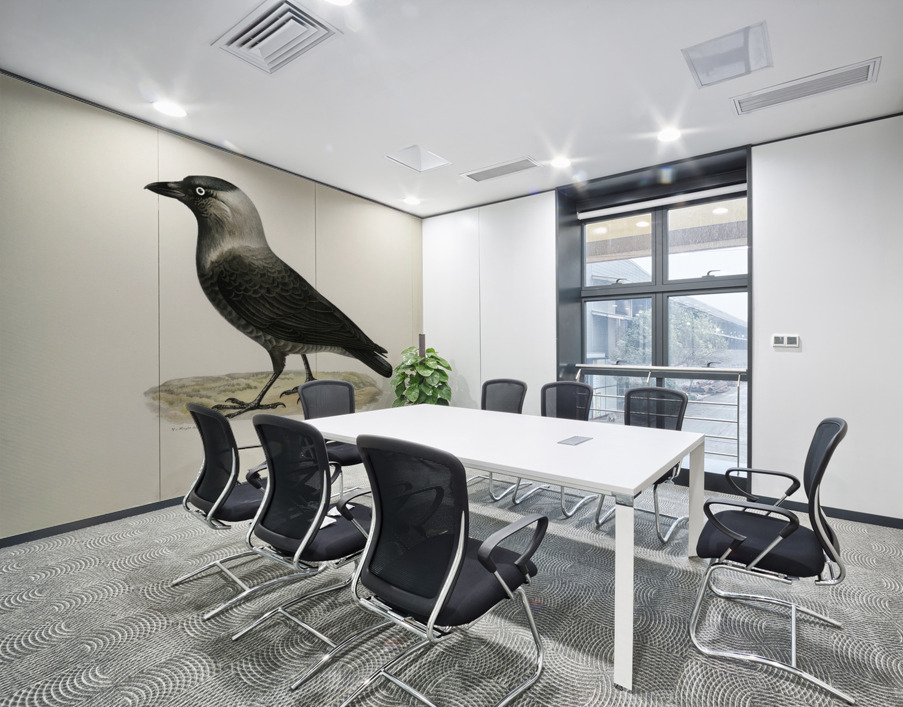 Western jackdaw Coloeus monedula Wall Printing