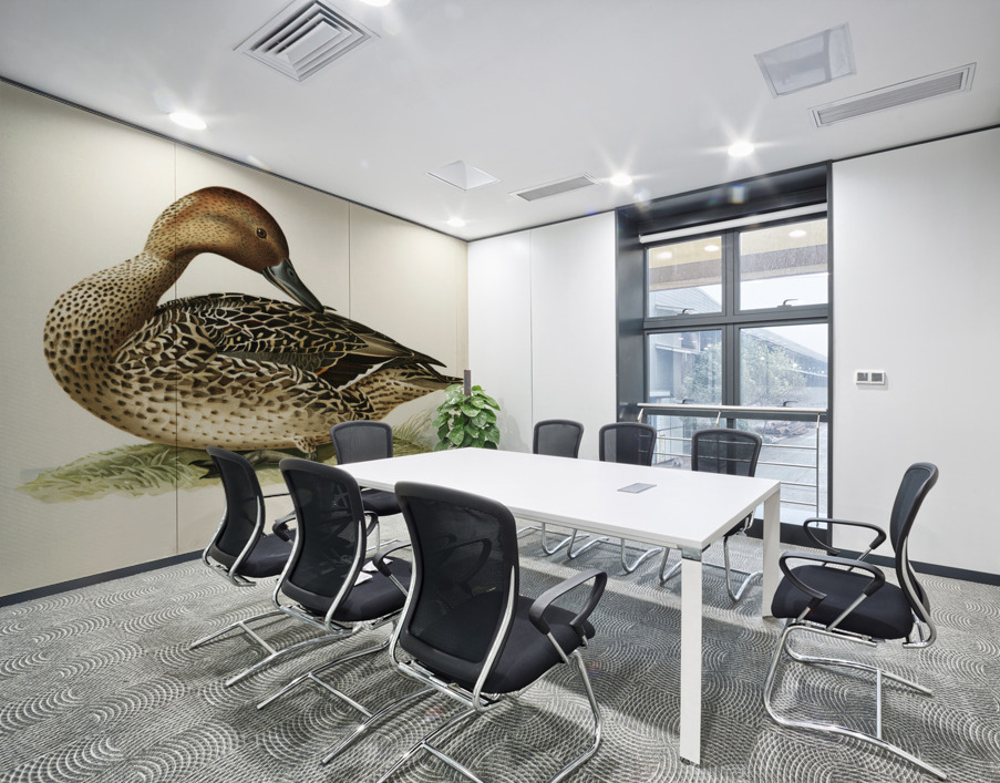 Northern Pintail Anas [dafila] acuta Wall Printing