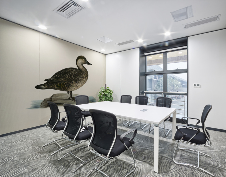 Black scoter female Oidemia nigra Wall Printing