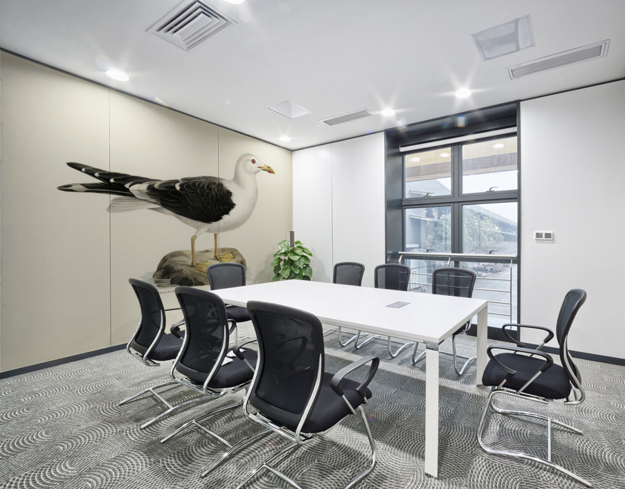 Lesser blak-backed gull Larus fuscus Wall Printing