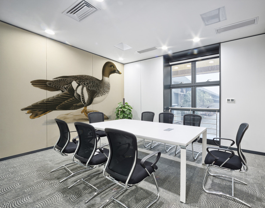 Goldeneye female Bucephala clangula Wall Printing