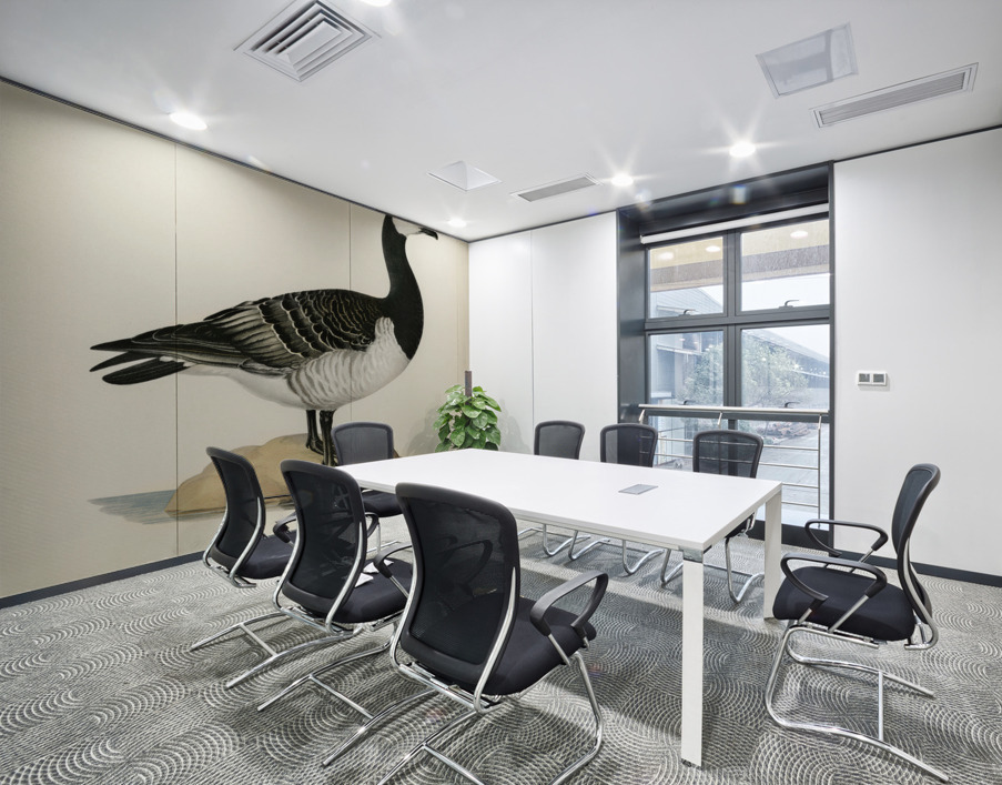 Barnacle Goose BRANTA LEUCOPSIS Wall Printing