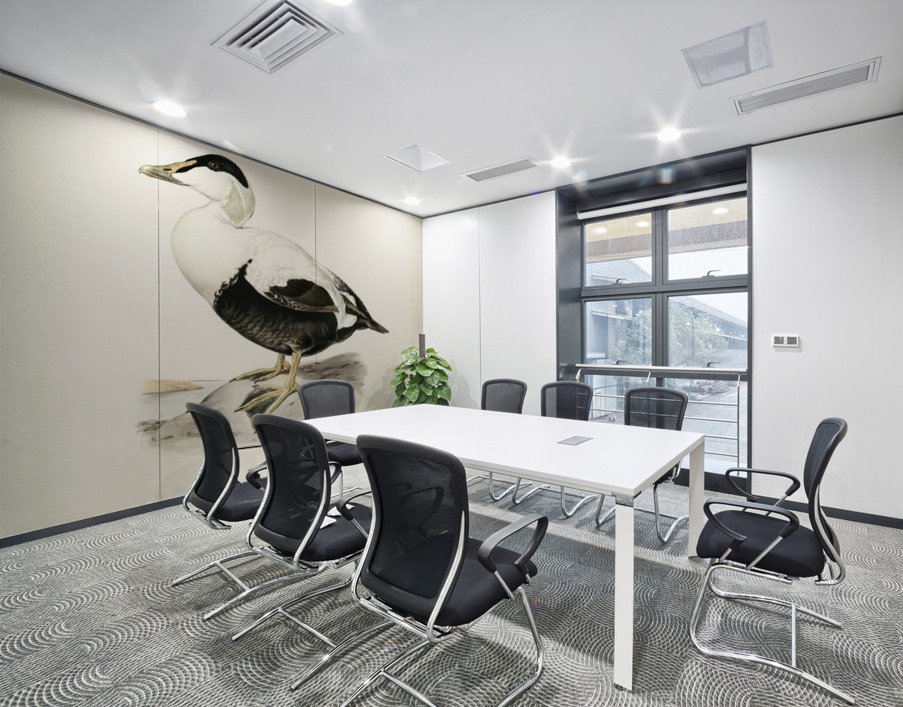 Somateria Mollissima Wall Printing