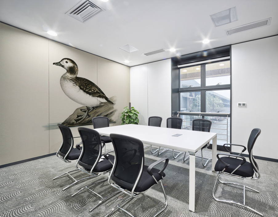 Harelda Hyemalis Wall Printing