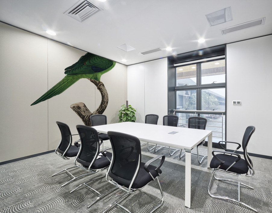 Grey-cheeked parakeet  Wall Printing