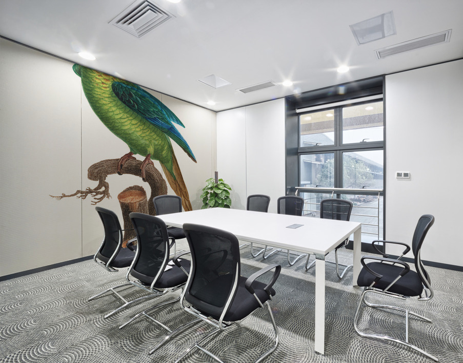 Peach-fronted conure  Wall Printing