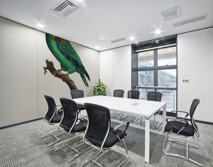 Caica parrot  Wall Printing