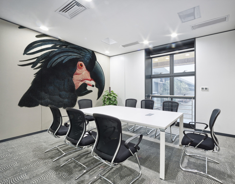 Goliath cockatoo  Wall Printing