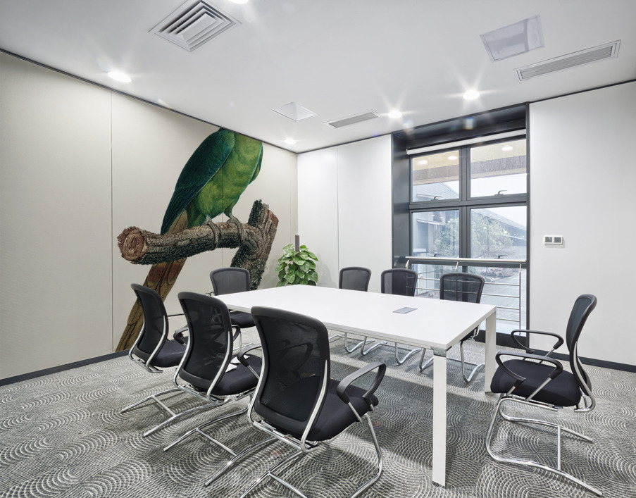 Ring-necked parakeet  Wall Printing