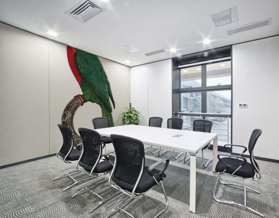 Jardines parrot  Wall Printing