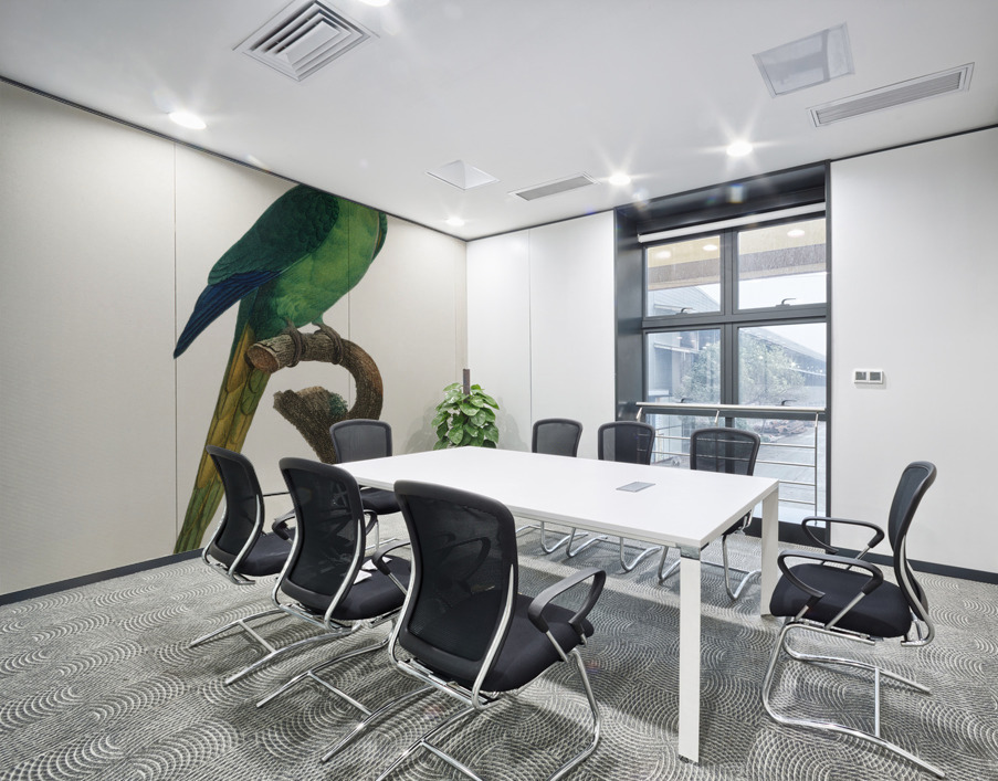 Red-fronted parakeet  Wall Printing