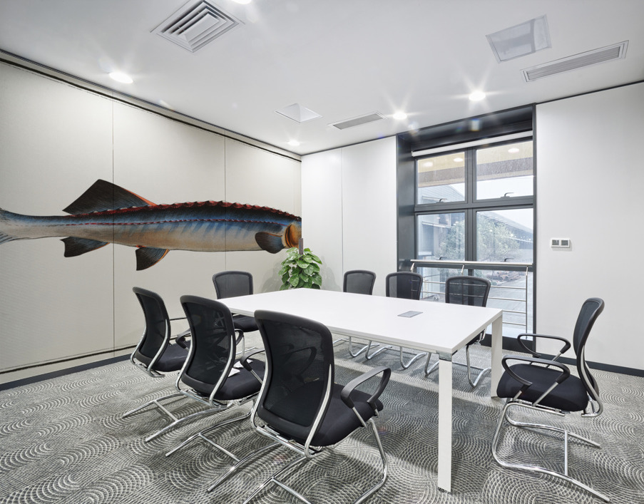 Great Sturgeon Acipenser Huso Wall Printing